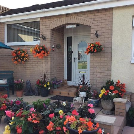 ستيرلينج Lowefield B&B المظهر الخارجي الصورة